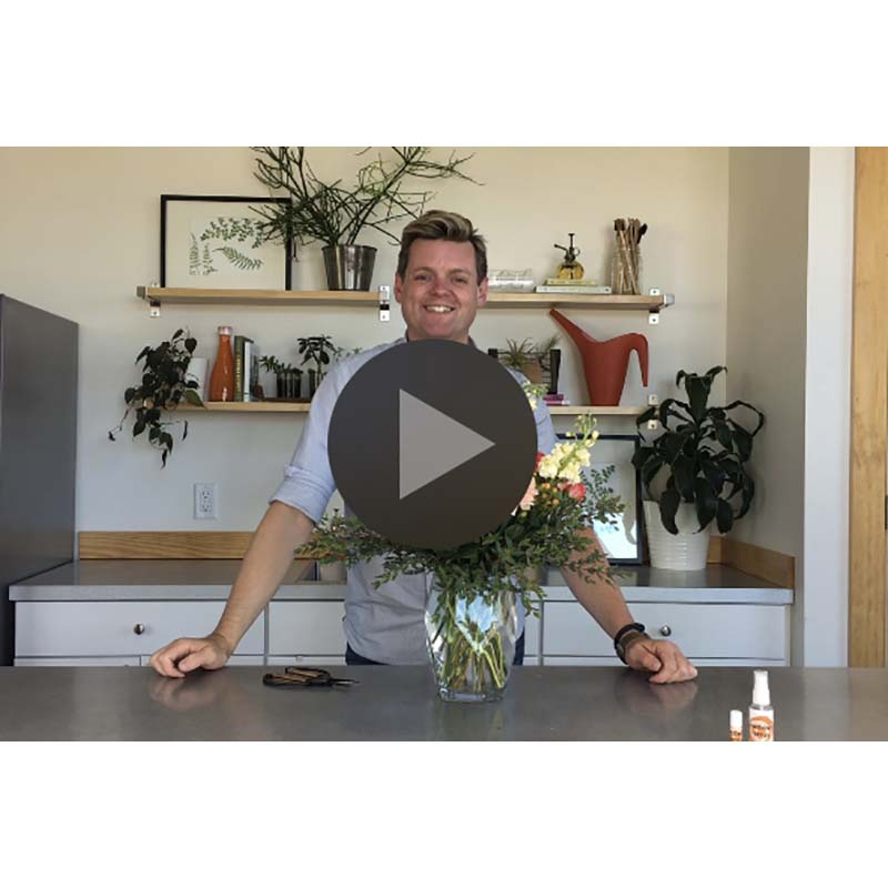 Floral-Underground-Traverse-City-Midwest-Floral-Subscription-Service-On-Demand-Workshop-Video-Icon